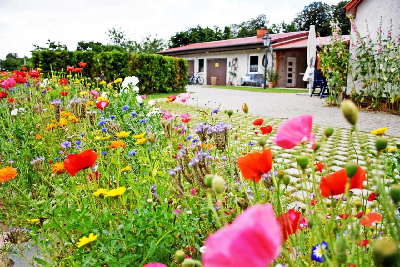 Ferienwohnungen Auf Dem Pommernhof Samtens Dış mekan fotoğraf