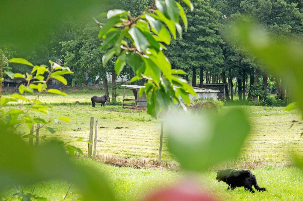 Ferienwohnungen Auf Dem Pommernhof Samtens Dış mekan fotoğraf